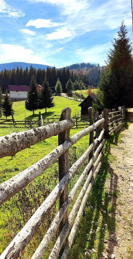 Eden Natural Resort - Transalpina Capalna Exterior photo