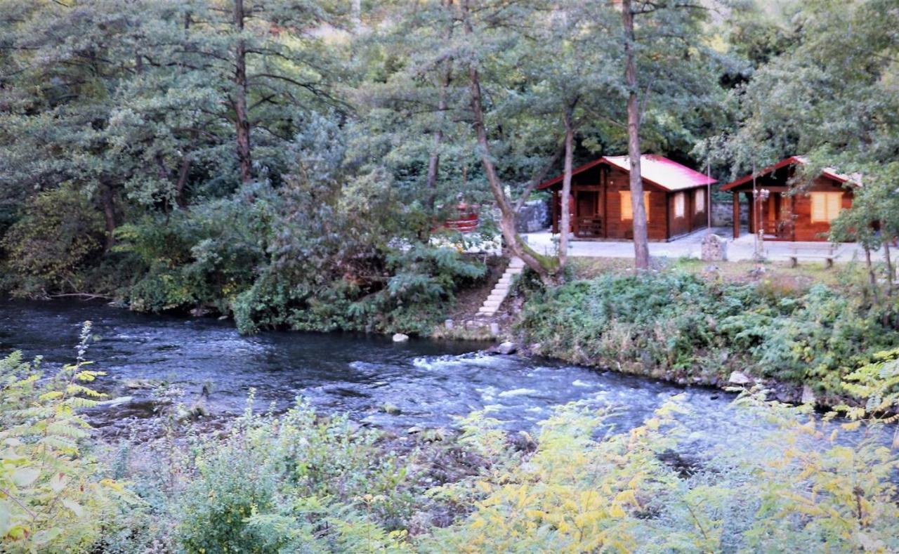 Eden Natural Resort - Transalpina Capalna Exterior photo